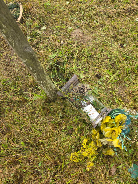 Czytelniczka: Tam też leżą ludzie zdjęcie nr 338411 Czytelniczka: Tam też leżą ludzie zdjęcie nr 338411