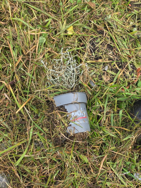 Czytelniczka: Tam też leżą ludzie zdjęcie nr 338407 Czytelniczka: Tam też leżą ludzie zdjęcie nr 338407