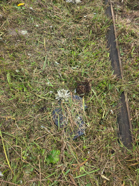 Czytelniczka: Tam też leżą ludzie zdjęcie nr 338378 Czytelniczka: Tam też leżą ludzie zdjęcie nr 338378