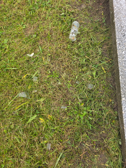 Czytelniczka: Tam też leżą ludzie zdjęcie nr 338400 Czytelniczka: Tam też leżą ludzie zdjęcie nr 338400