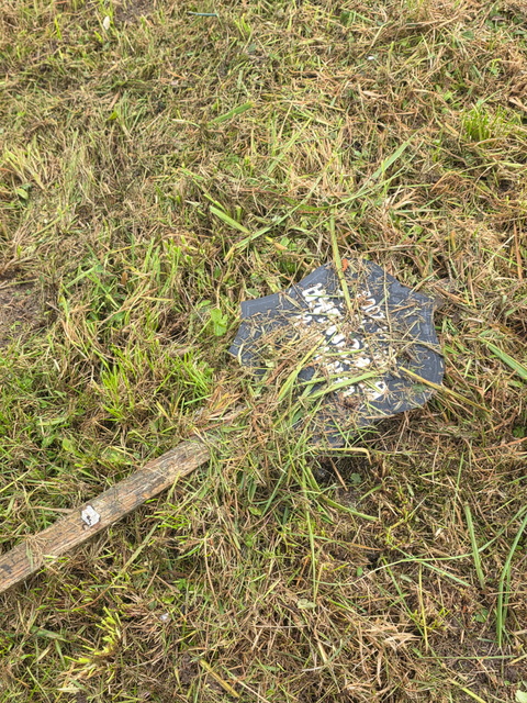 Czytelniczka: Tam też leżą ludzie zdjęcie nr 338394 Czytelniczka: Tam też leżą ludzie zdjęcie nr 338394