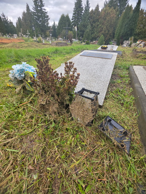 Czytelniczka: Tam też leżą ludzie zdjęcie nr 338401 Czytelniczka: Tam też leżą ludzie zdjęcie nr 338401