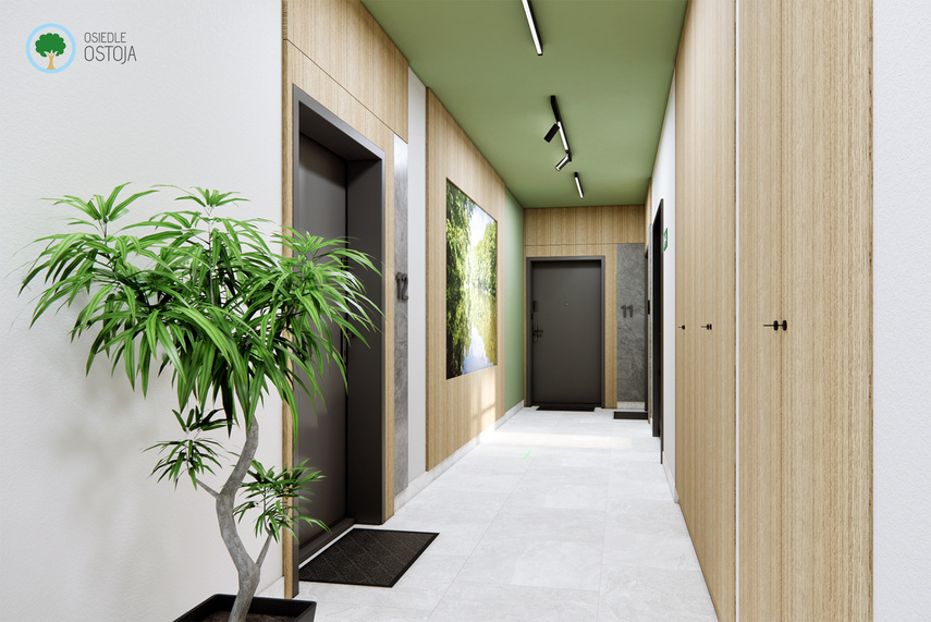 Na wzgórzu przy Dąbrowskiego powstaje coś wyjątkowego… zdjęcie nr 338539 Na wzgórzu przy Dąbrowskiego powstaje coś wyjątkowego… zdjęcie nr 338539