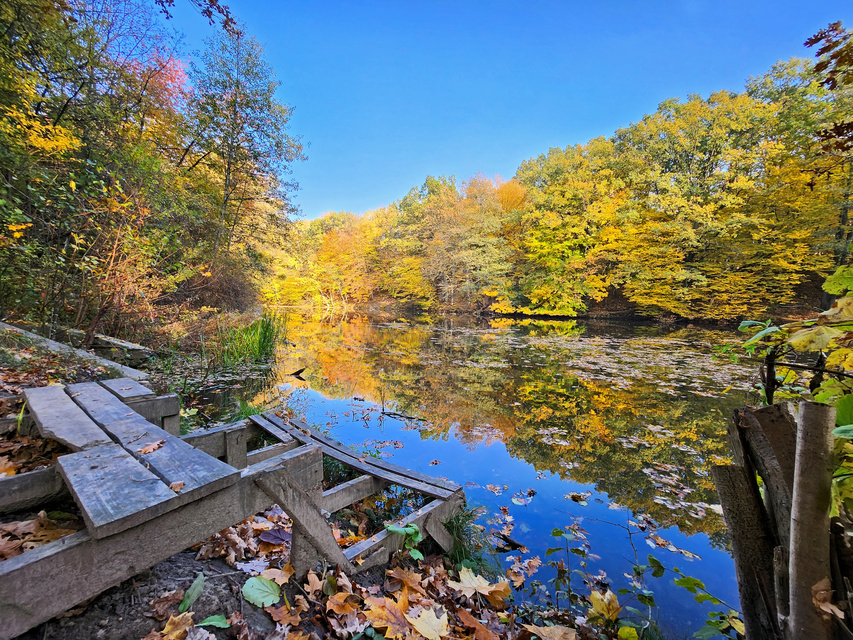 Na wzgórzu przy Dąbrowskiego powstaje coś wyjątkowego… zdjęcie nr 338523 Na wzgórzu przy Dąbrowskiego powstaje coś wyjątkowego… zdjęcie nr 338523