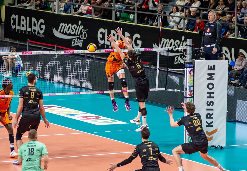 Sensacja pod siatką zdjęcie nr 339254