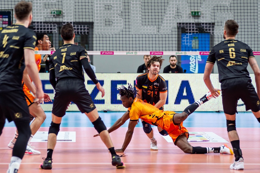 Sensacja pod siatką zdjęcie nr 339271