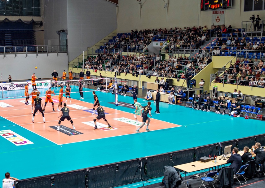 Sensacja pod siatką zdjęcie nr 339274