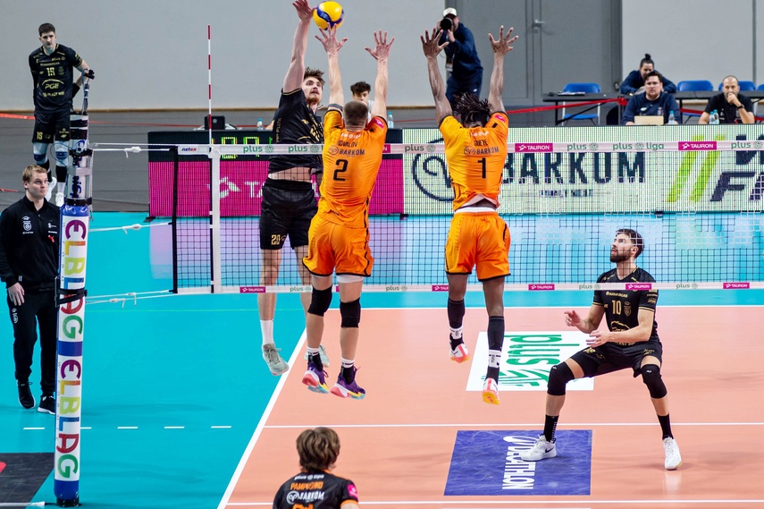 Sensacja pod siatką zdjęcie nr 339242