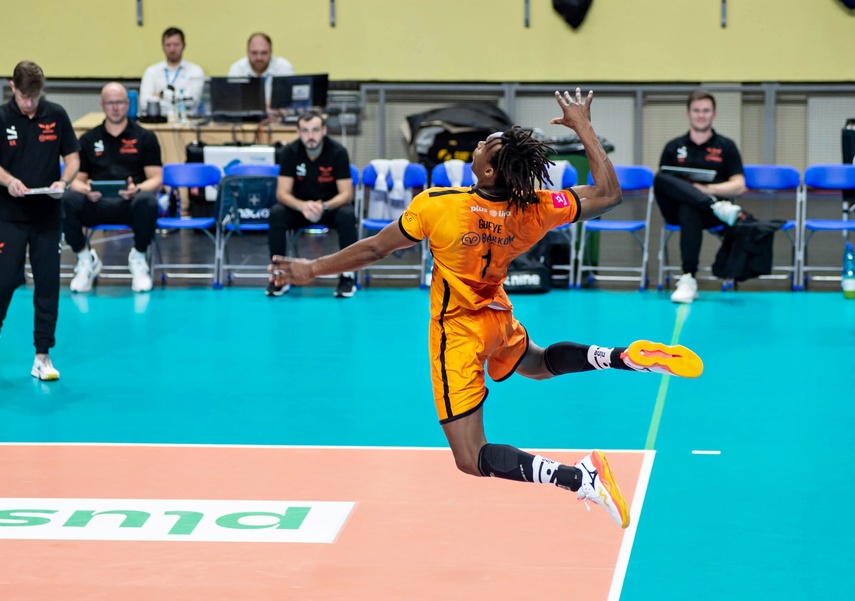 Sensacja pod siatką zdjęcie nr 339263