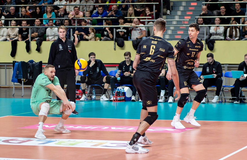 Sensacja pod siatką zdjęcie nr 339268