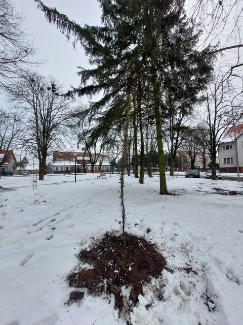 Plac dworcowy po remoncie zdjęcie nr 339919