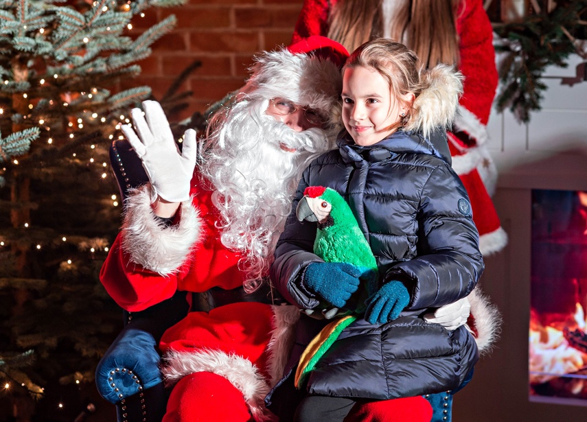 Choinka już świeci zdjęcie nr 340078