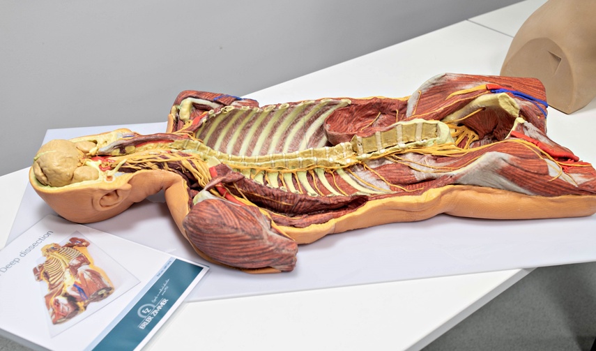 Medyczne i robotyczne nauki stosowane zdjęcie nr 340427