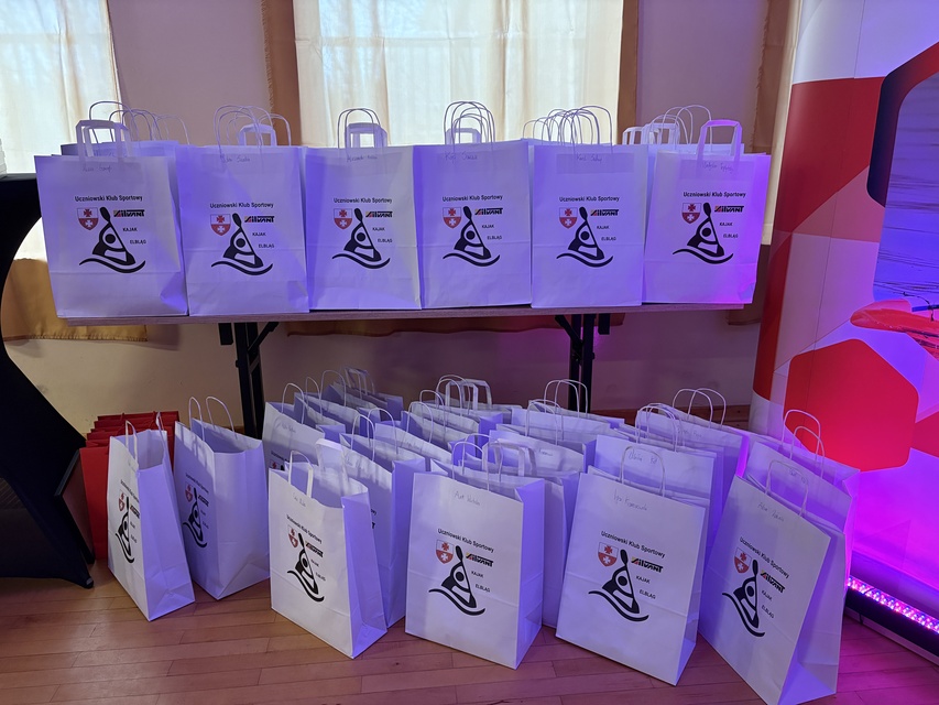 Sportowy rok z sukcesami zdjęcie nr 340462