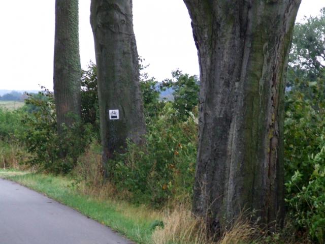 Rowerem wzdłuż Kanału Elbląskiego zdjęcie nr 27359