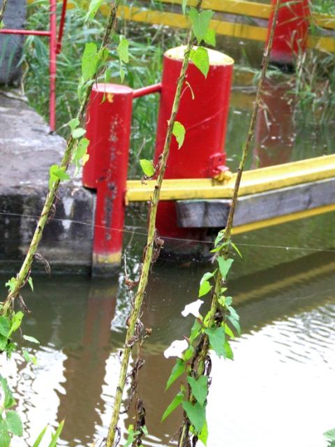 Rowerem wzdłuż Kanału Elbląskiego zdjęcie nr 27384