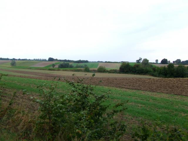 Rowerem wzdłuż Kanału Elbląskiego zdjęcie nr 27358