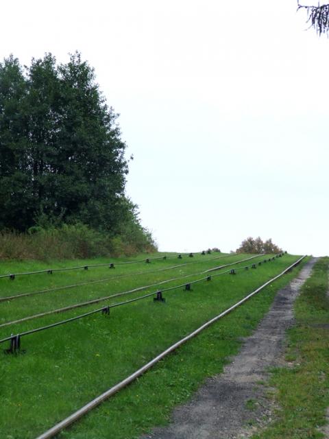 Rowerem wzdłuż Kanału Elbląskiego zdjęcie nr 27383