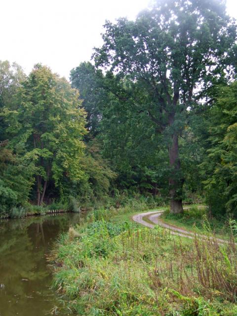 Rowerem wzdłuż Kanału Elbląskiego zdjęcie nr 27360