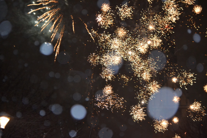 Elblążanie powitali Nowy Rok zdjęcie nr 341025