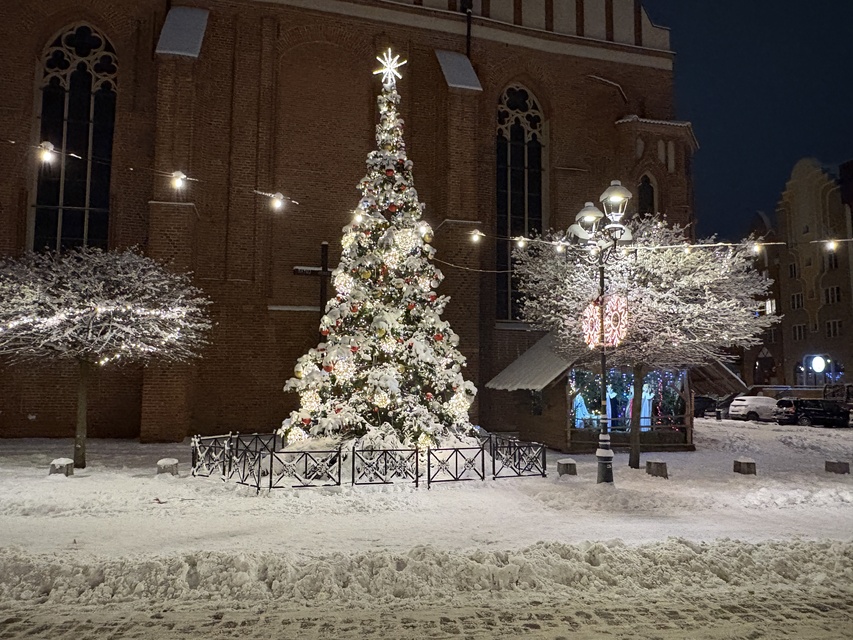 Elblążanie powitali Nowy Rok zdjęcie nr 341030