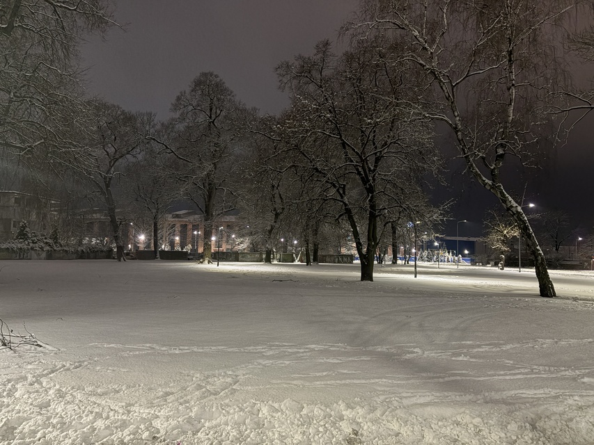 Elblążanie powitali Nowy Rok zdjęcie nr 341028