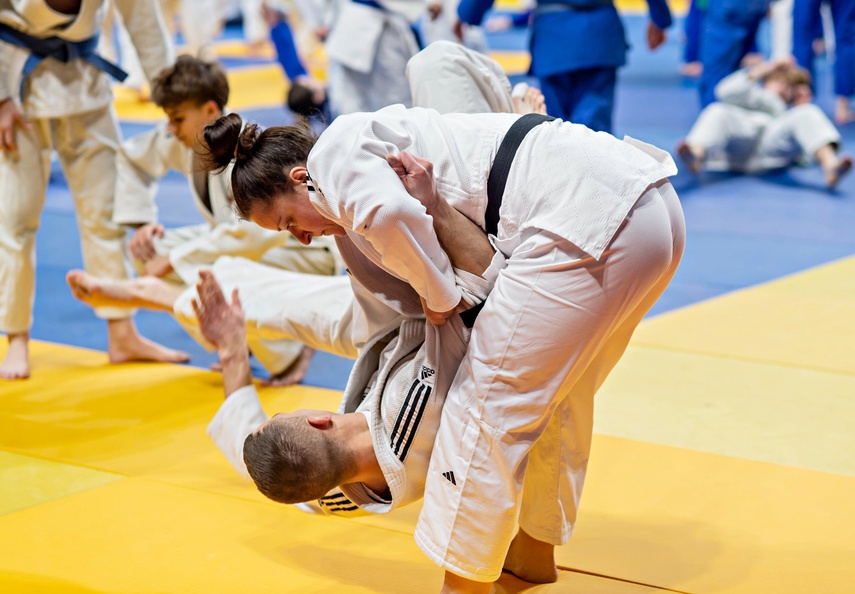 Judocy znów przyjechali do Elbląga zdjęcie nr 341106