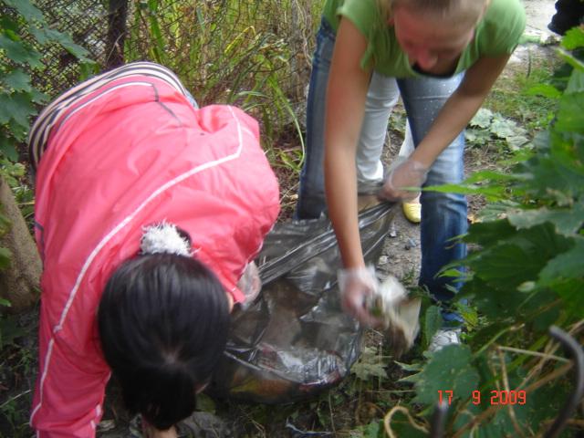 Oni już sprzątali zdjęcie nr 27426