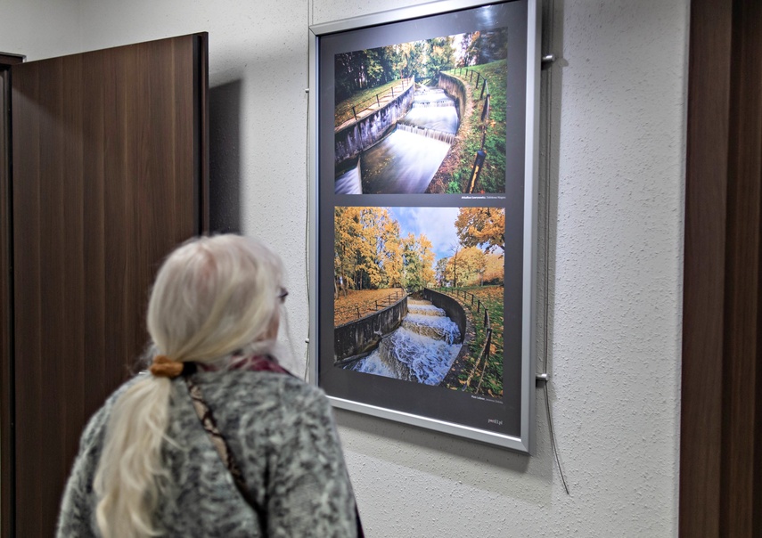 Fotka Miesiąca w blasku jubileuszu zdjęcie nr 341956