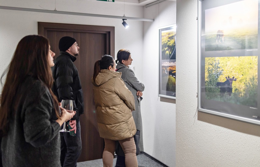 Fotka Miesiąca w blasku jubileuszu zdjęcie nr 341950