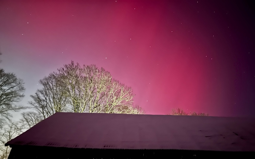 To była noc z zorzą polarną zdjęcie nr 342494