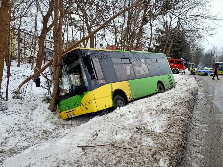Gołoledź znów w natarciu zdjęcie nr 342662