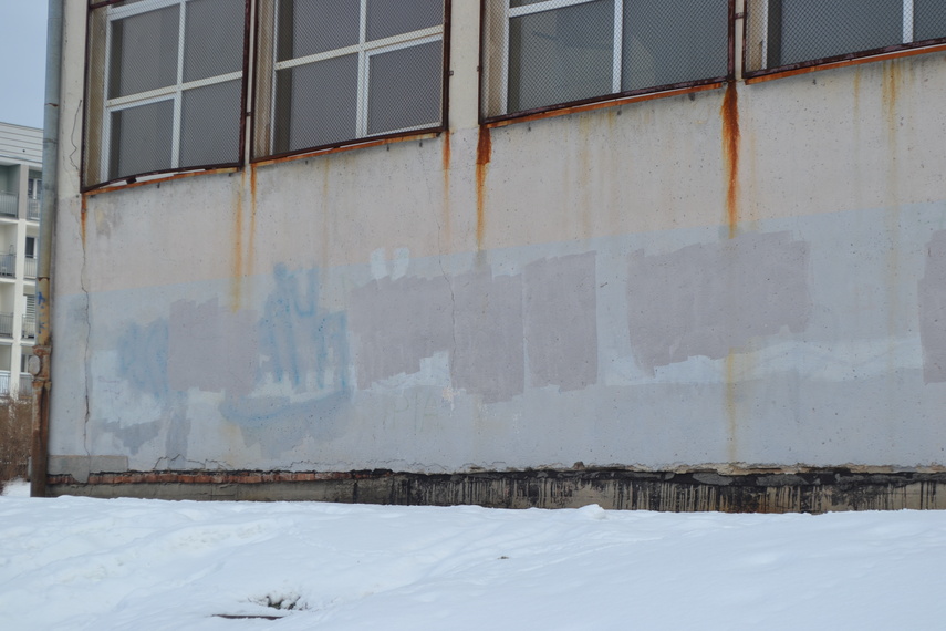 Nowa szkoła nr 9 zdjęcie nr 343621