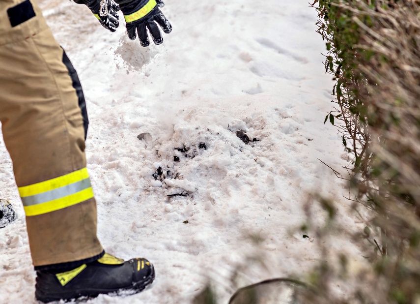 Pożar na Trybunalskiej zdjęcie nr 343691