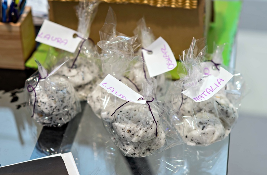 Elbląg w trampkach zdjęcie nr 344208