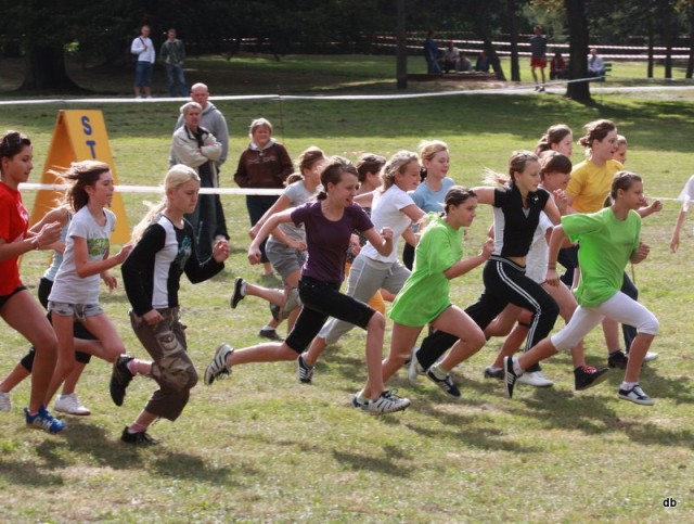 Na przełaj przez park zdjęcie nr 27683