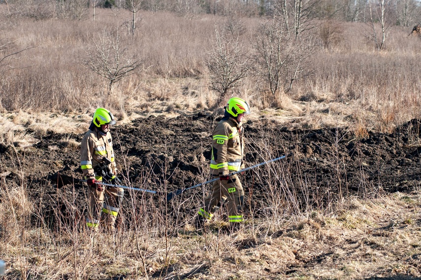 Pożar traw przy Wschodniej zdjęcie nr 344458