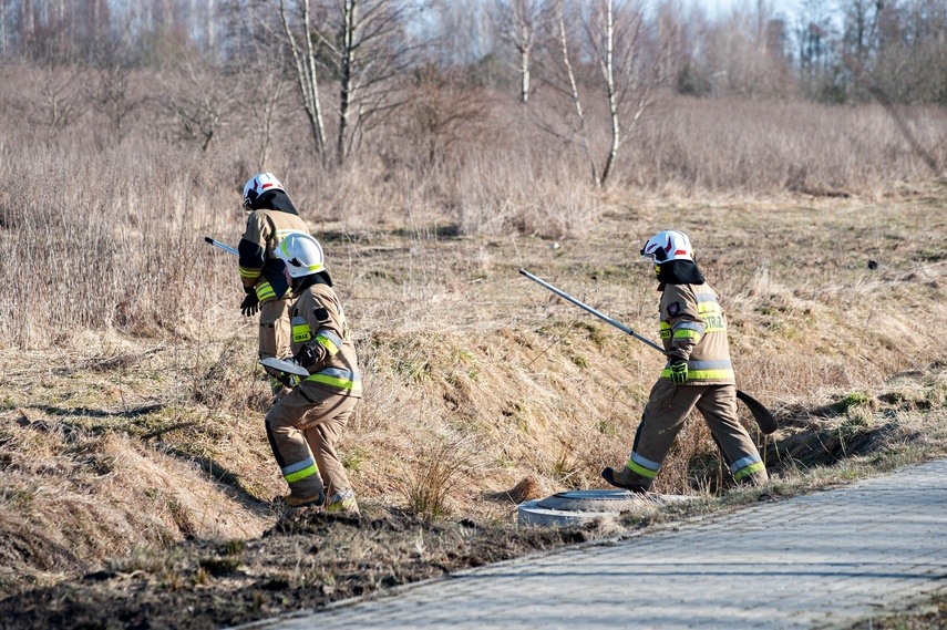 Pożar traw przy Wschodniej zdjęcie nr 344451