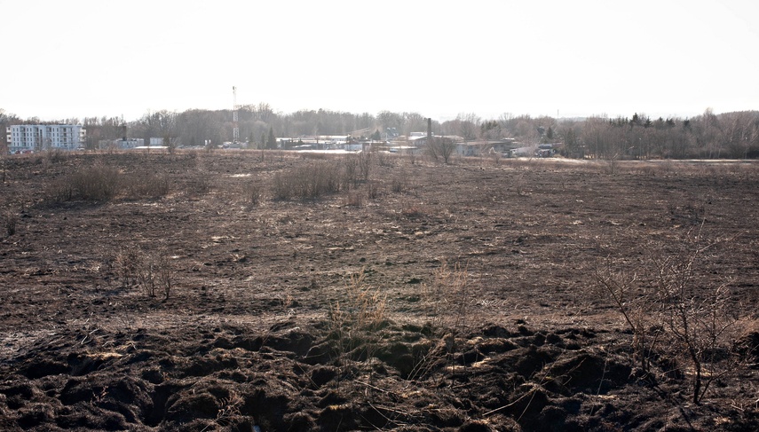 Pożar traw przy Wschodniej zdjęcie nr 344460