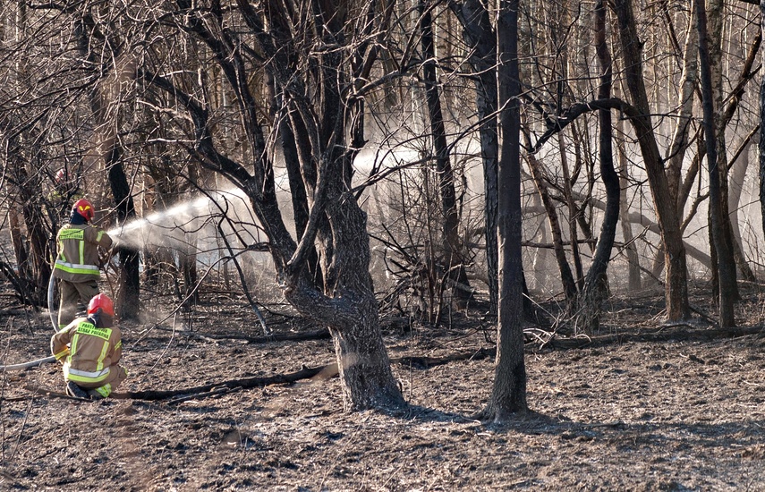 Pożar traw przy Wschodniej zdjęcie nr 344465