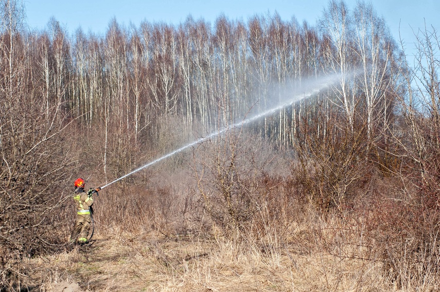 Pożar traw przy Wschodniej zdjęcie nr 344452