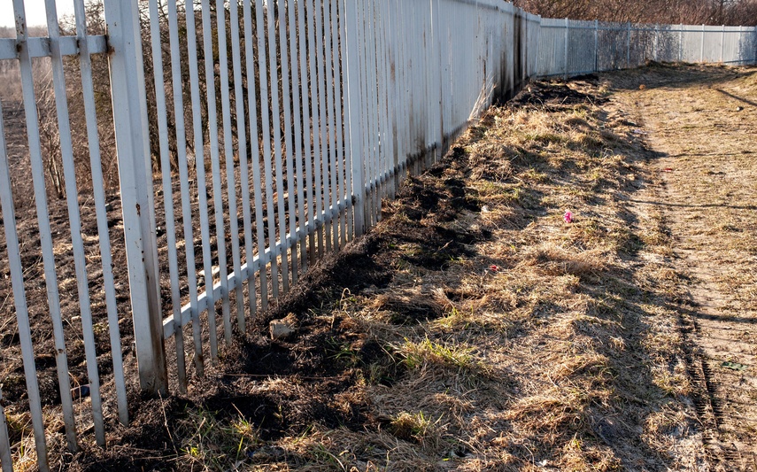 Pożar traw przy Wschodniej zdjęcie nr 344461