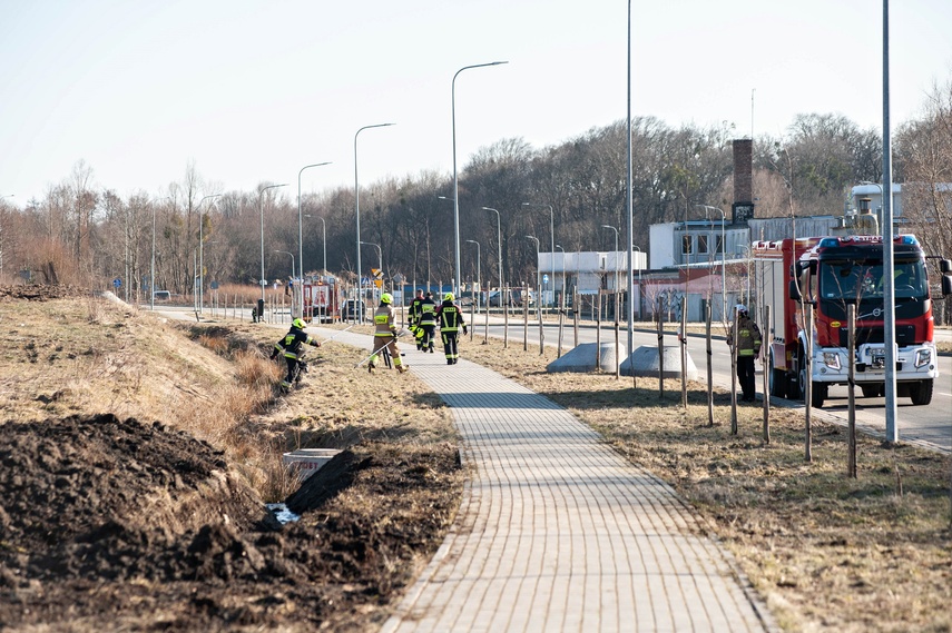 Pożar traw przy Wschodniej zdjęcie nr 344459
