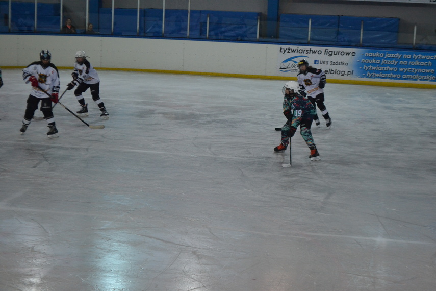 Mały, wielki hokej zdjęcie nr 344641