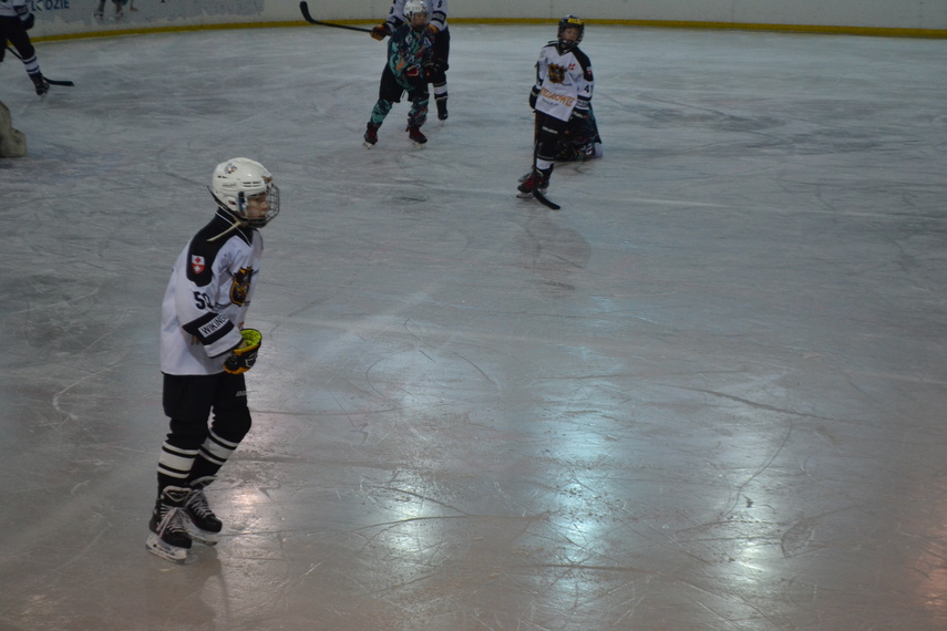 Mały, wielki hokej zdjęcie nr 344647