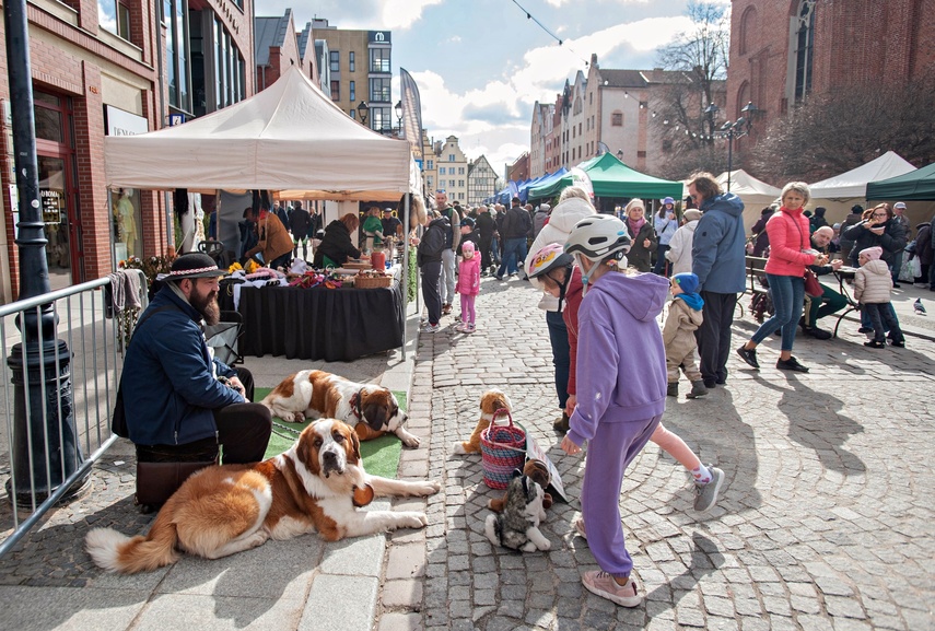 Wielkanocny kiermasz na starówce zdjęcie nr 344871