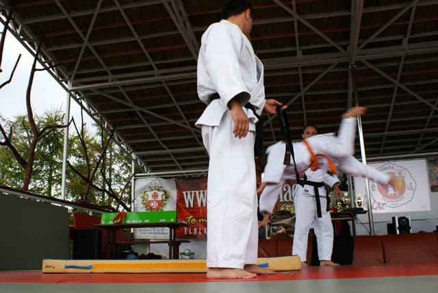 Jubileusz w rodzinnej atmosferze (judo) zdjęcie nr 27795