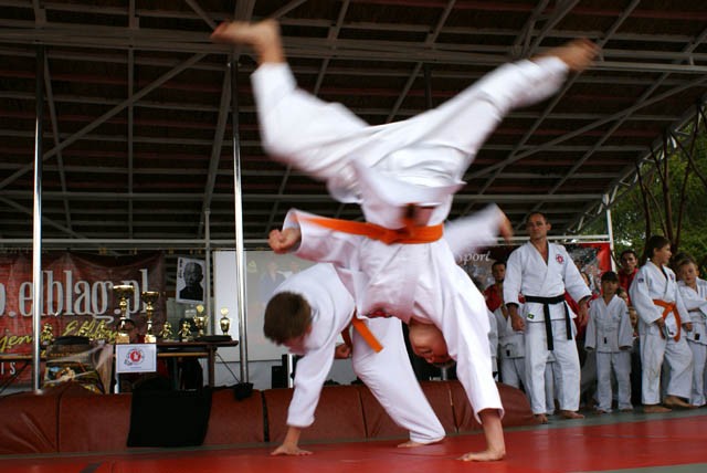 Jubileusz w rodzinnej atmosferze (judo) zdjęcie nr 27792