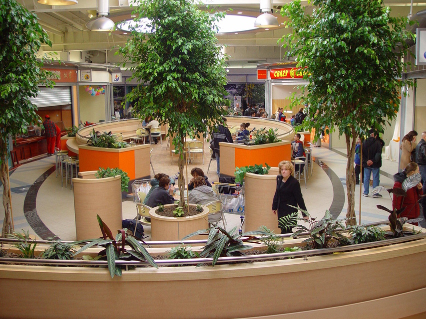 Powiew wielkiego świata (w obiektywie Henryka Myślińskiego) zdjęcie nr 345175