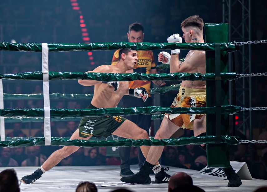 Gala, która zatrzęsła Elblągiem zdjęcie nr 345282